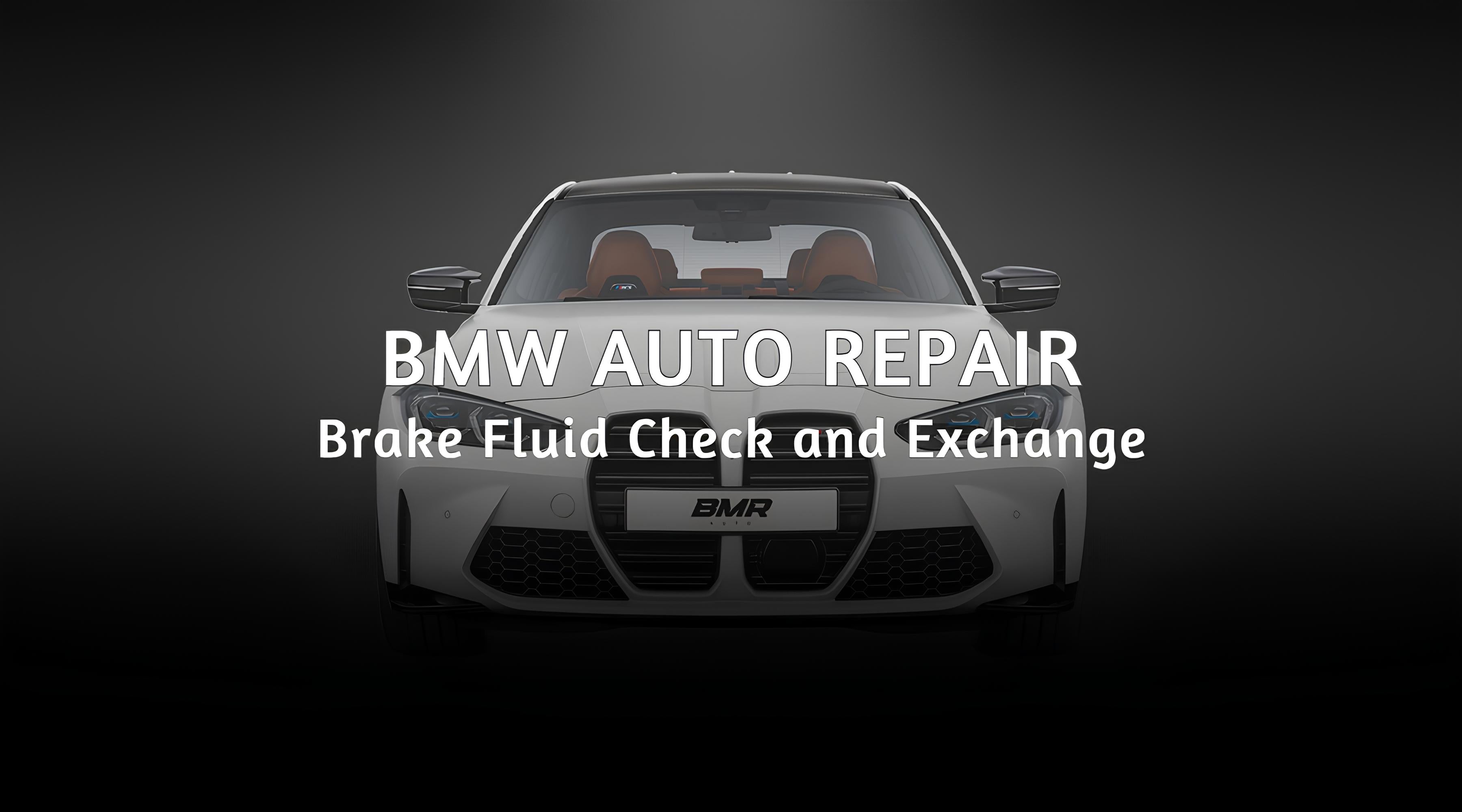 BMW Brake Fluid Check and Exchange Near Miami